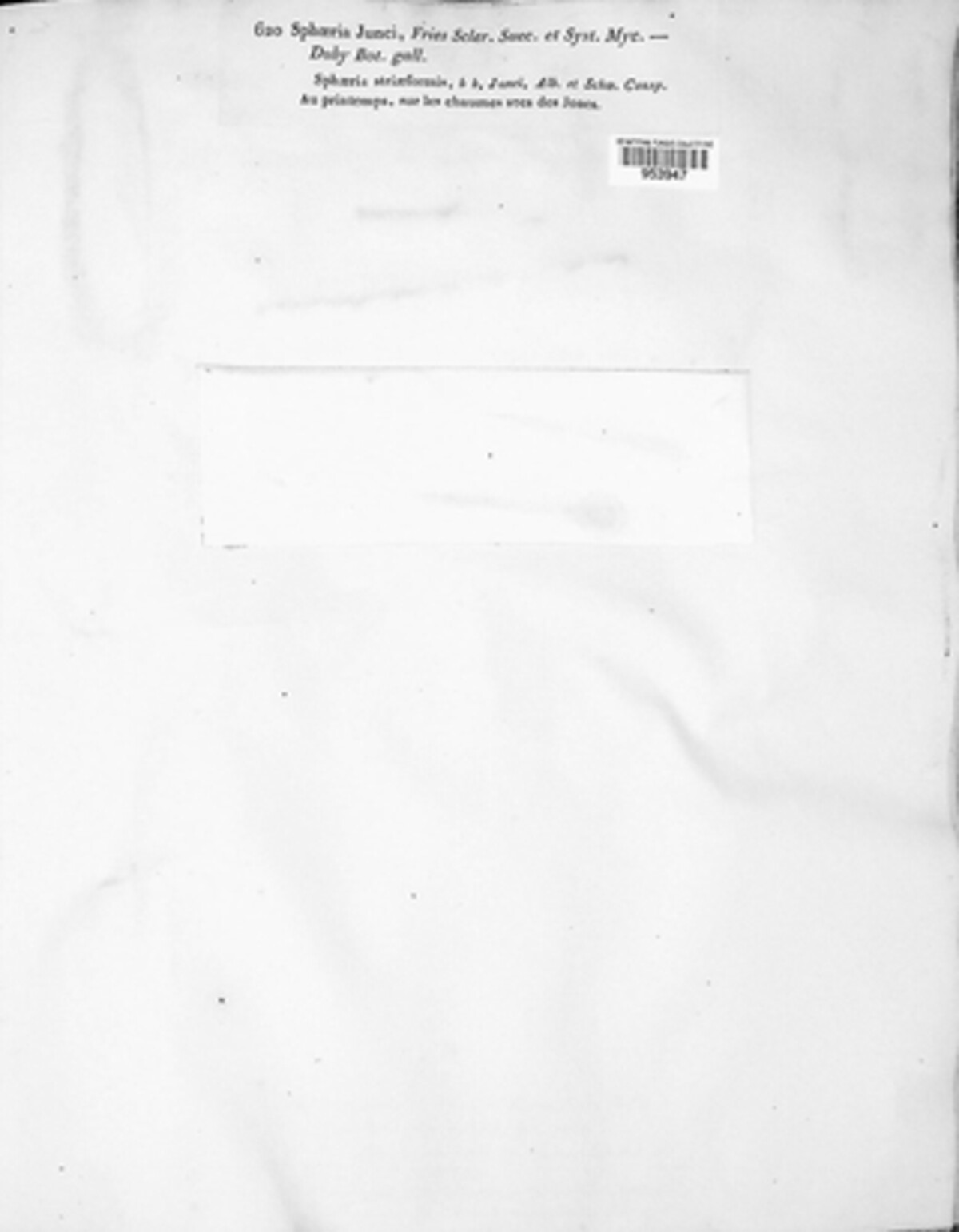 Metasphaeria image